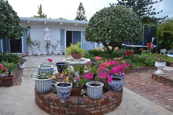 th DSC 0263 2 th DSC 0263 2