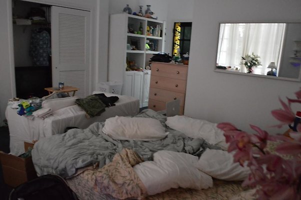 th DSC 0256 2 th DSC 0256 2