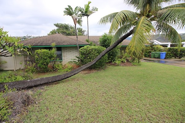 Wailupe 434 Wailupe Circle Gordan 373 9307 Wailupe 434 Wailupe Circle Gordan 373 9307