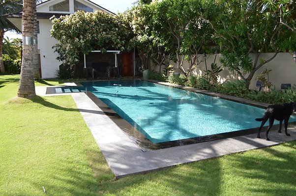 th DSC 0126 th DSC 0126