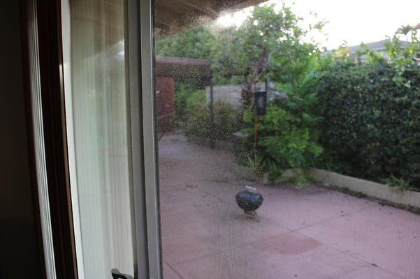 th IMG 7580 th IMG 7580