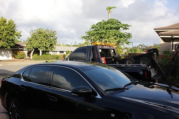 th IMG 7555 th IMG 7555