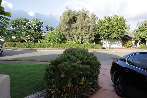 th IMG 7554 th IMG 7554