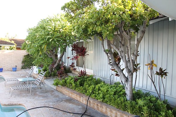 Th IMG 9941 Th IMG 9941