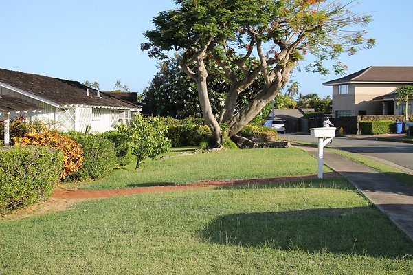 Th IMG 9899 Th IMG 9899