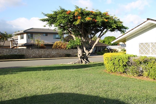 Th IMG 9900 Th IMG 9900