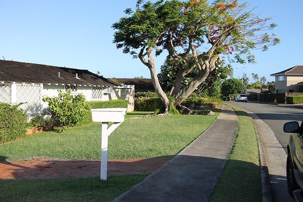 Th IMG 9902 Th IMG 9902