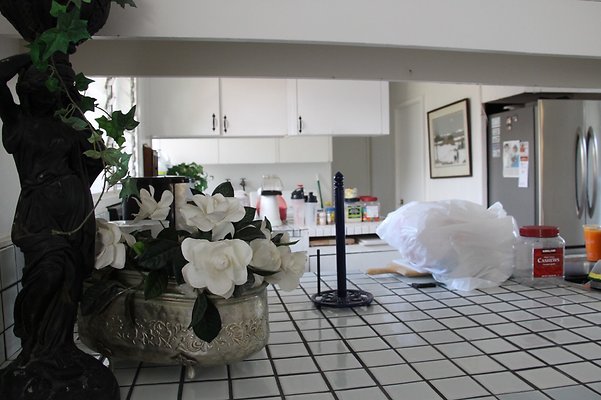 Th IMG 9936 Th IMG 9936