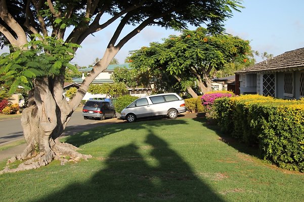 Th IMG 9897 Th IMG 9897