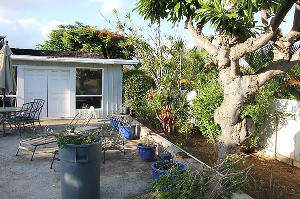 Th IMG 9944 Th IMG 9944