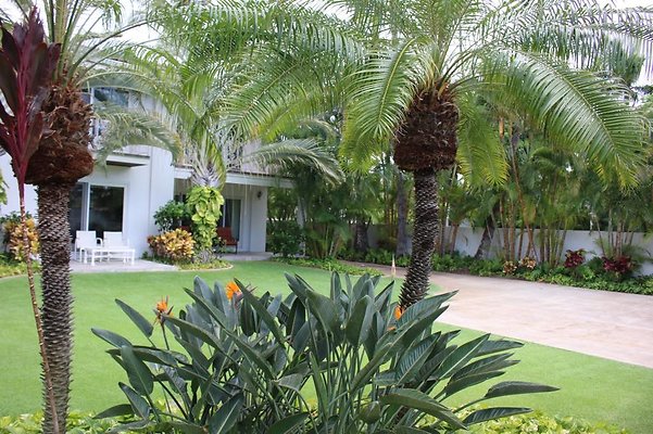 th IMG 8188 th IMG 8188