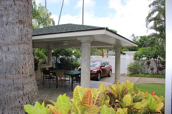 th IMG 8246 th IMG 8246