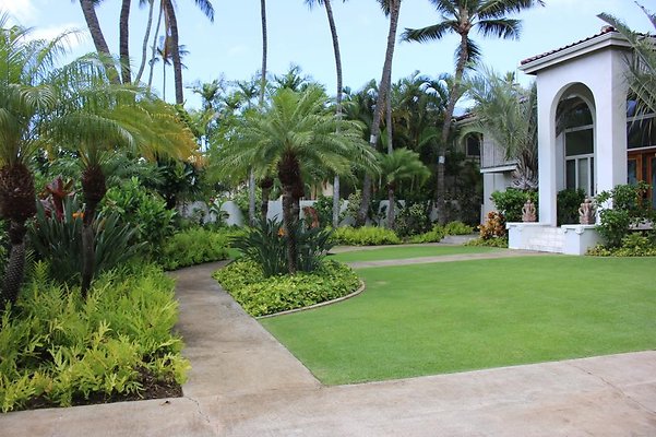 th IMG 8252 th IMG 8252