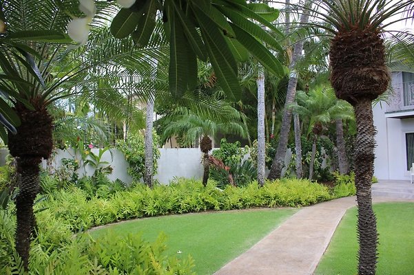 th IMG 8186 th IMG 8186