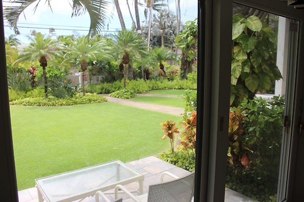 th IMG 8205 th IMG 8205