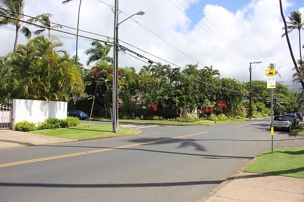 th IMG 8184 th IMG 8184