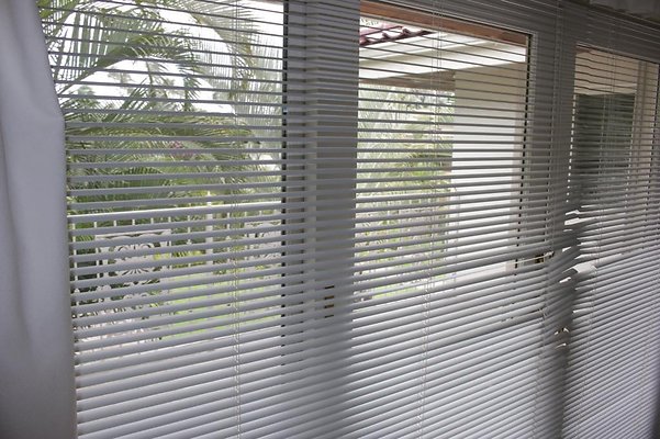 th IMG 8217 th IMG 8217