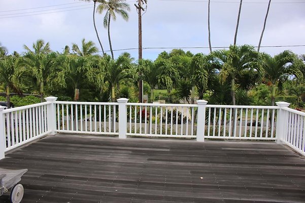 th IMG 7161 th IMG 7161