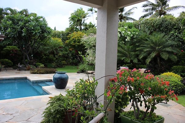 th IMG 7173 th IMG 7173