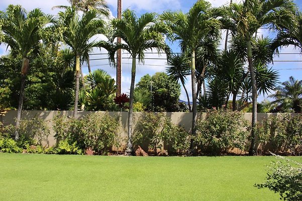 th IMG 7104 th IMG 7104