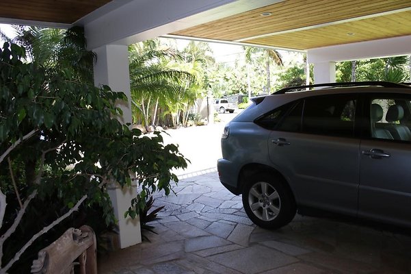 th IMG 7109 th IMG 7109