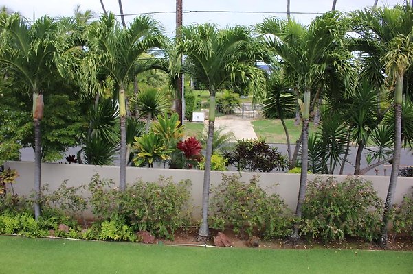 th IMG 7166 th IMG 7166