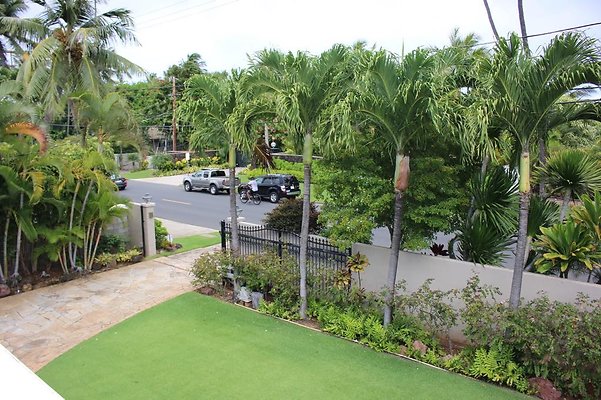 th IMG 7165 th IMG 7165