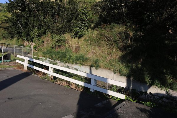 th IMG 0194 th IMG 0194