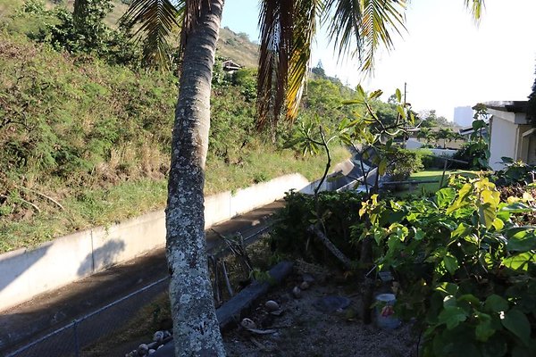 th IMG 0196 th IMG 0196