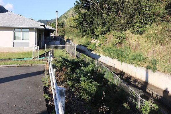 th IMG 0195 th IMG 0195