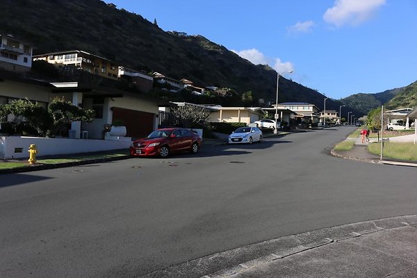 th IMG 0183 th IMG 0183