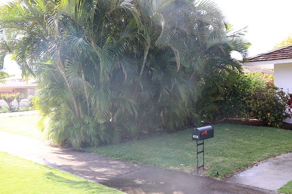 th IMG 7812 th IMG 7812