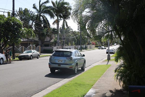 th IMG 7817 th IMG 7817