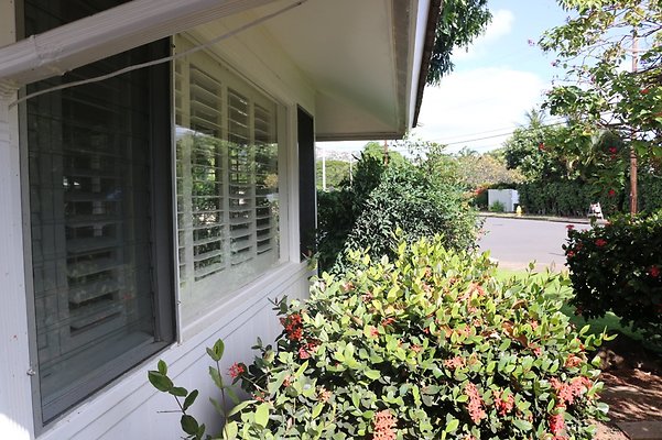 th IMG 7821 th IMG 7821