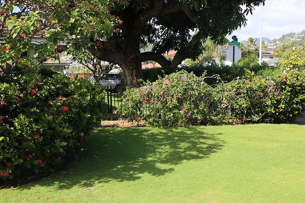 th IMG 7814 th IMG 7814