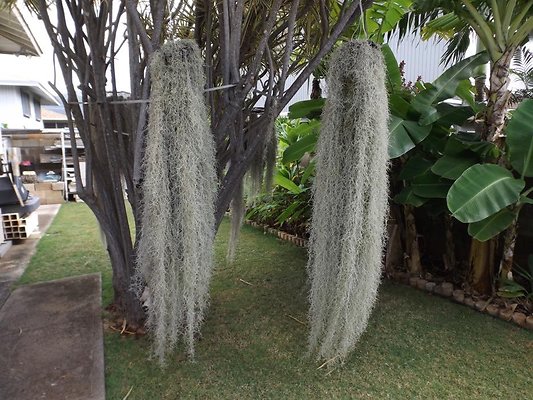 th 1035 22nd 8 th 1035 22nd 8