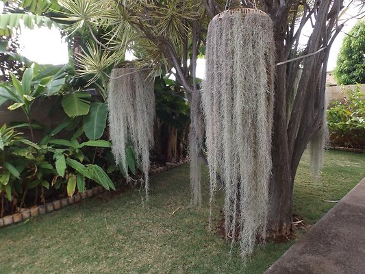 th 1035 22nd 9 th 1035 22nd 9