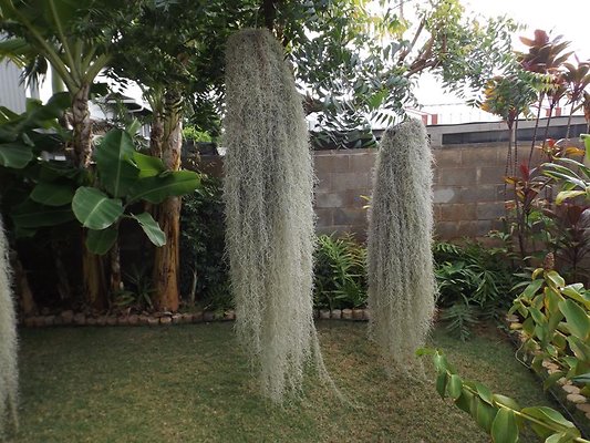 th 1035 22nd 7 th 1035 22nd 7