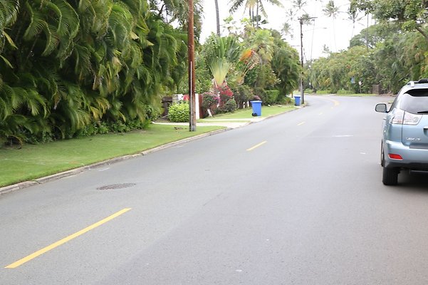 th IMG 8798 th IMG 8798