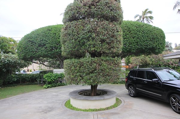 th IMG 8805 th IMG 8805