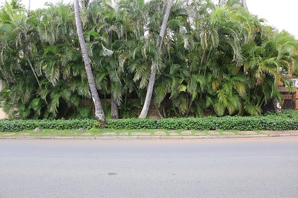 th IMG 8799 th IMG 8799