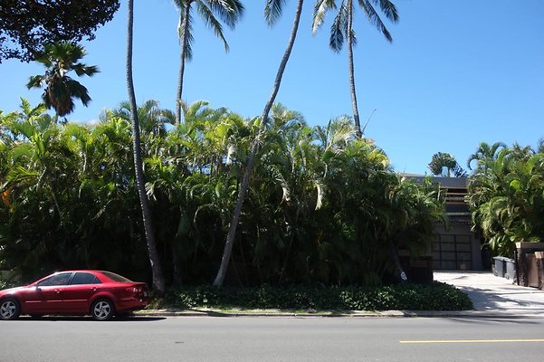 th DSC01657 th DSC01657