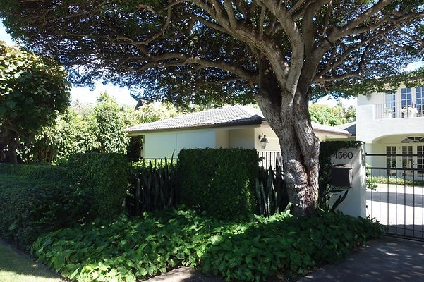 th DSC01653 th DSC01653