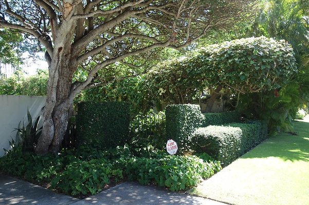 th DSC01655 th DSC01655