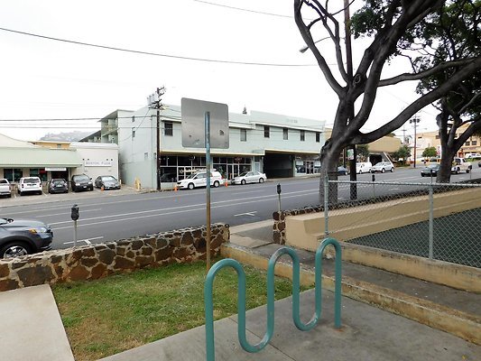 Black Cat Salon Black Cat Salon