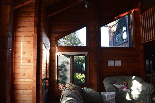 th DSC 0199 th DSC 0199