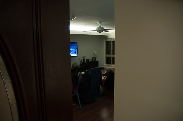 DH 4477PuupaniniAve Tang-3 DH 4477PuupaniniAve Tang-3