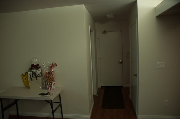 DH 4477PuupaniniAve Tang-25 DH 4477PuupaniniAve Tang-25