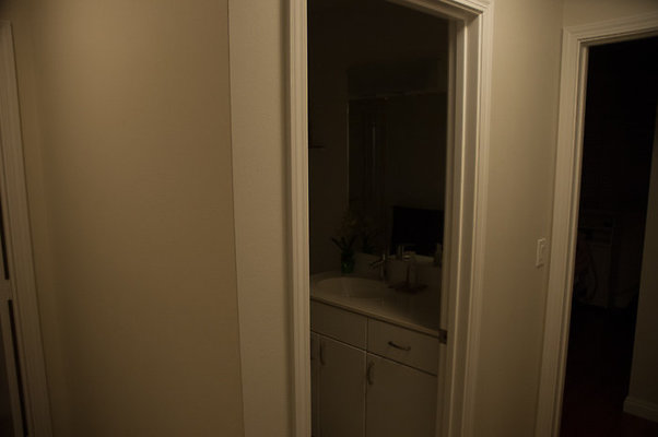 DH 4477PuupaniniAve Tang-17 DH 4477PuupaniniAve Tang-17