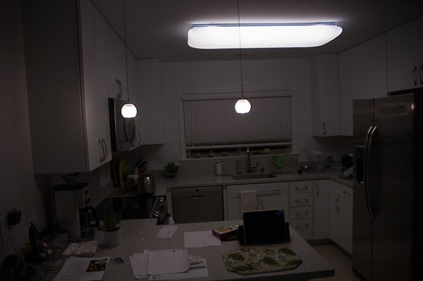 DH 4477PuupaniniAve Tang-41 DH 4477PuupaniniAve Tang-41